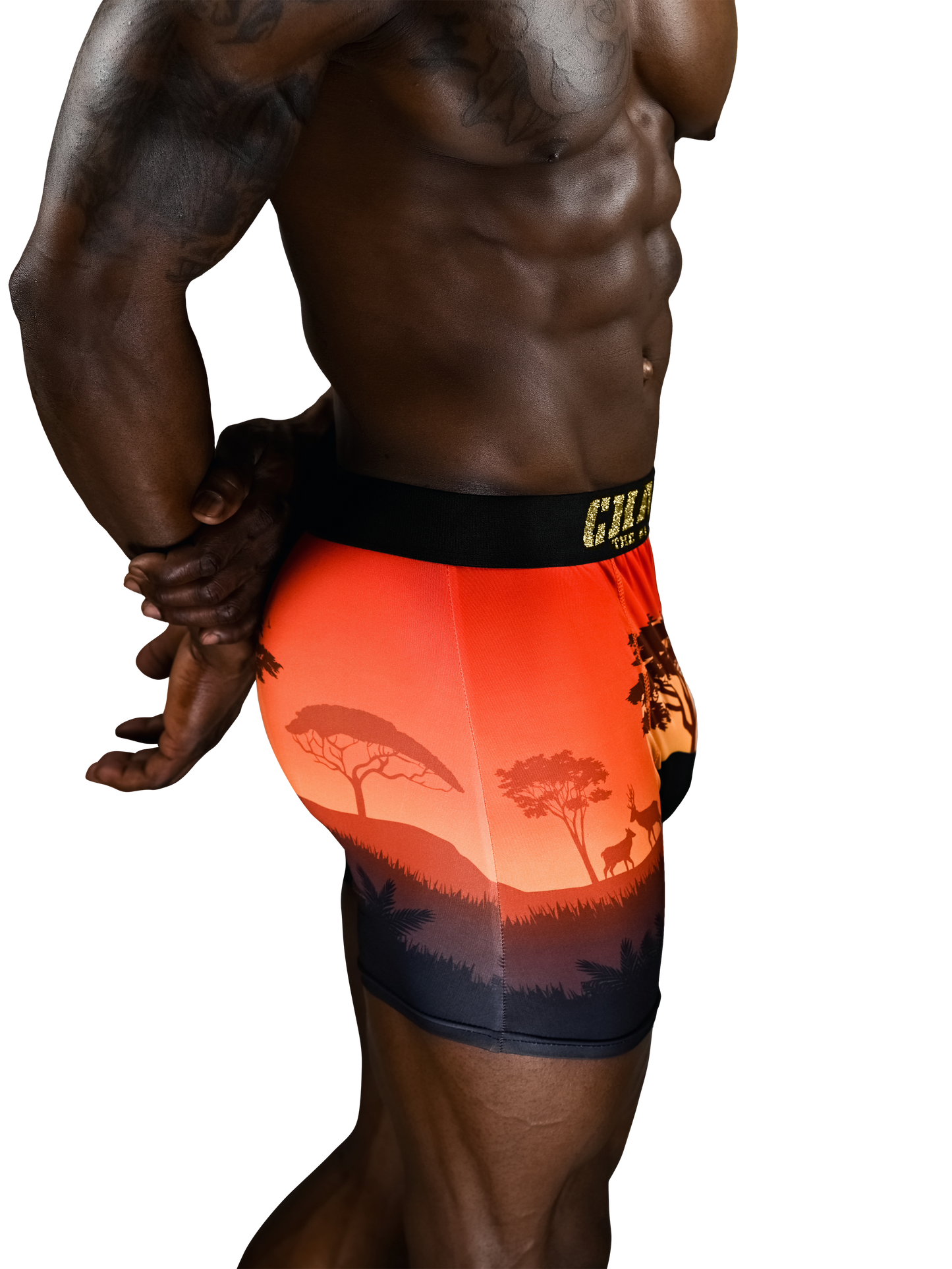 KingLion Edition (No Fly) - Concordia Style Boutique