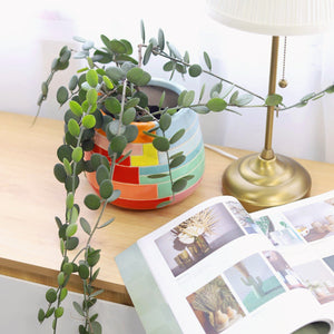 Descriptive image text