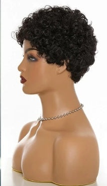 Short Curly Hair Ladies Wig - Premium wig from Concordia Style Boutique - Just $21.97! Shop now at Concordia Style Boutique