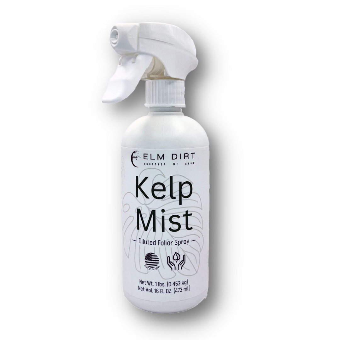 Kelp Mist - Concordia Style Boutique