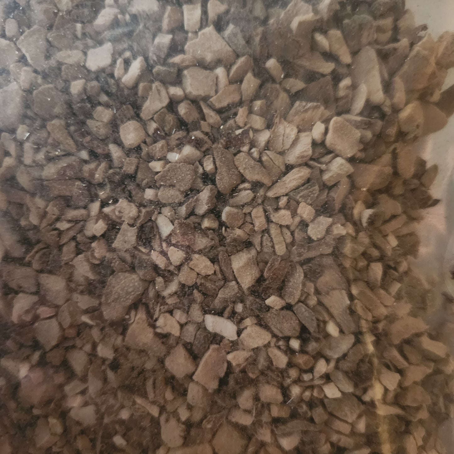 Calamus Root | Focus, Digestion & Nervous System Tonic