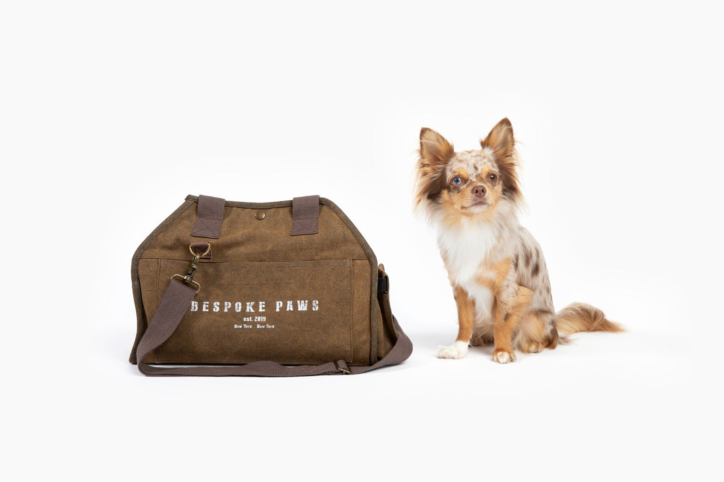 'The Daily' Packable Pet Carrier-S-Army