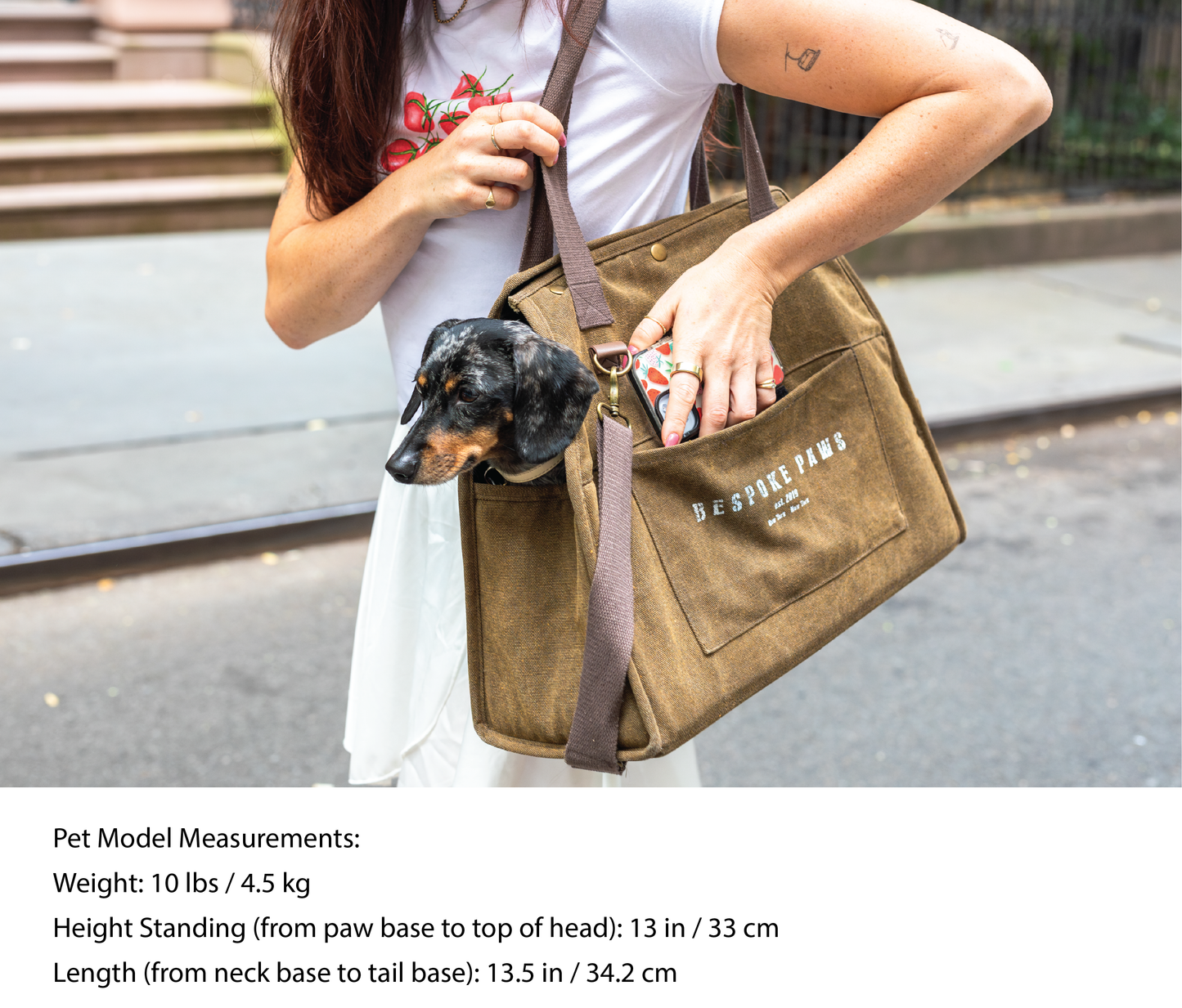 'The Daily' Packable Pet Carrier-M-Army