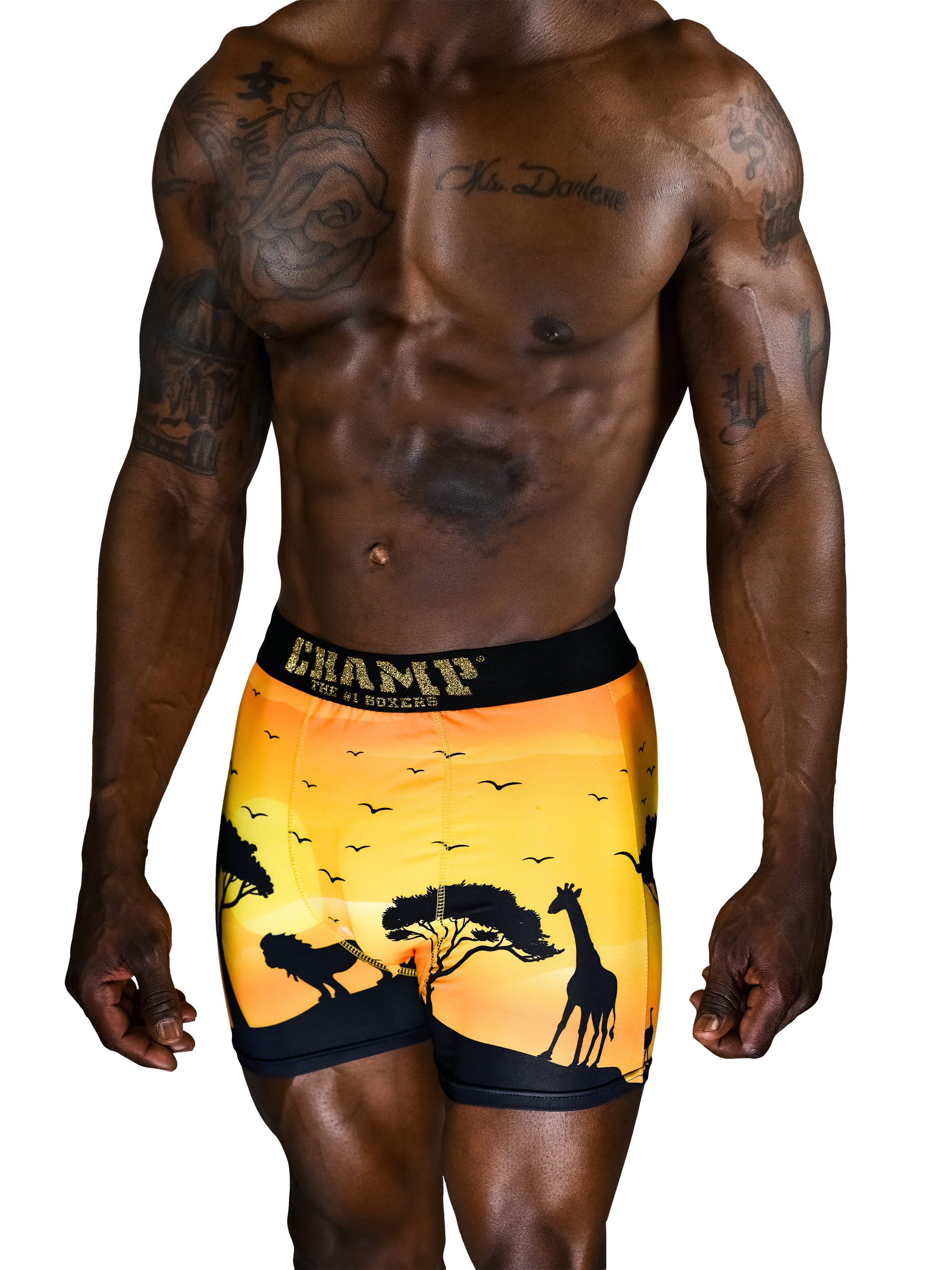 KingLion Edition (No Fly) - Concordia Style Boutique