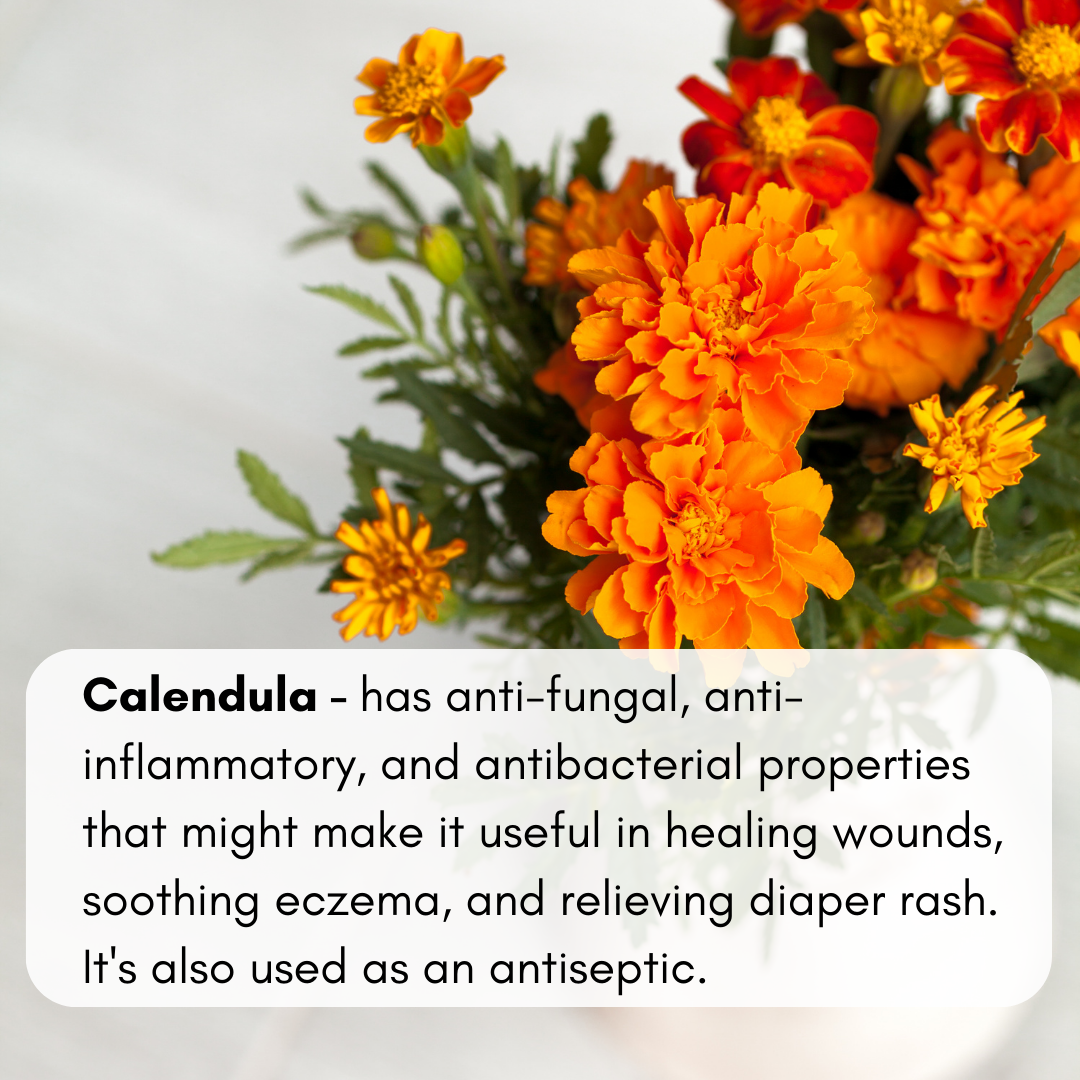 Heal & Soothe Herbal Infused Body Oil - Concordia Style Boutique