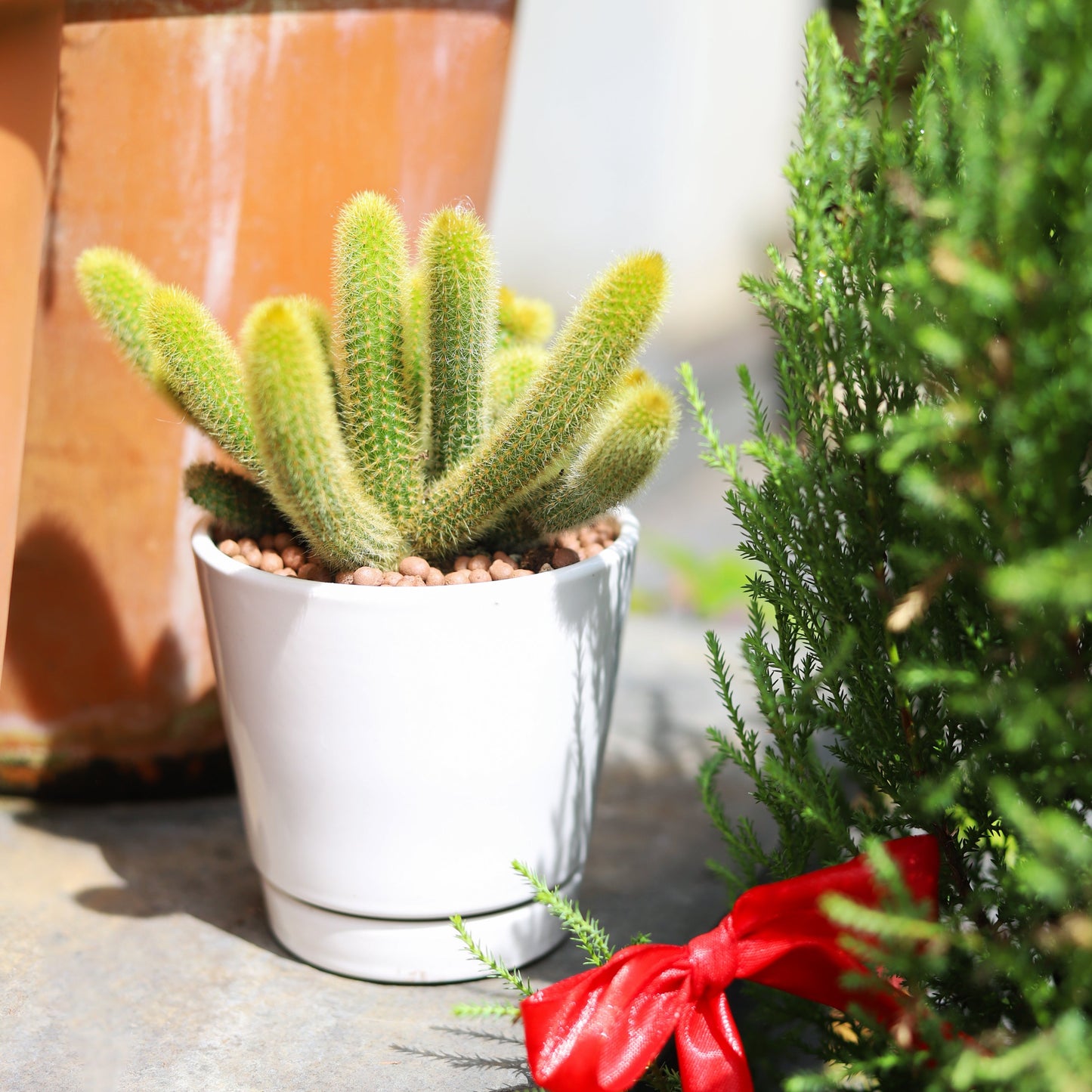 4 inch White Minimalist Pot with Saucer