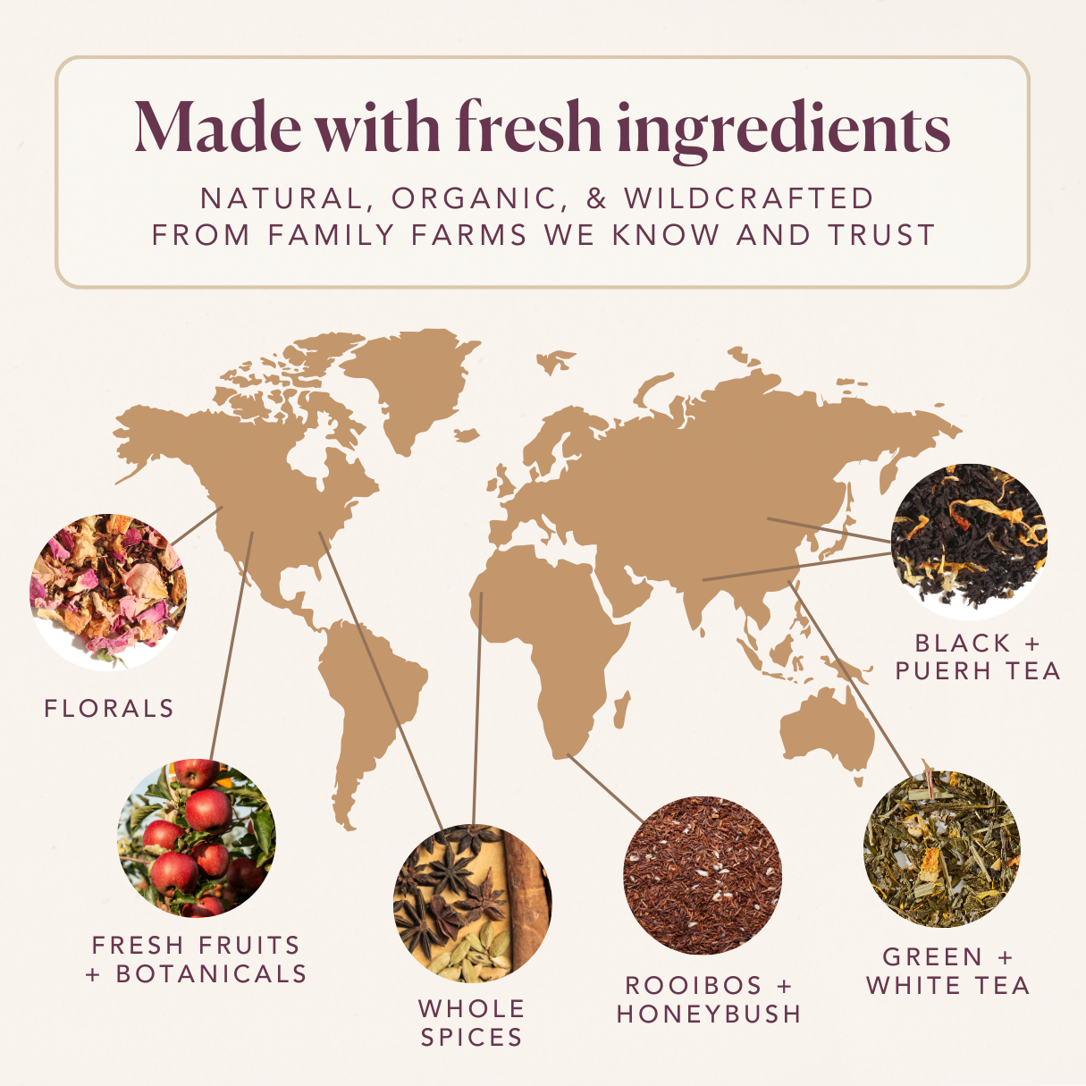 Sugar Plum (Plum - Strawberry - Cardamom) - Concordia Style Boutique