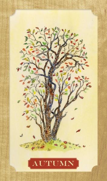 Tree of Life Oracle by Schiffer Publishing - Concordia Style Boutique