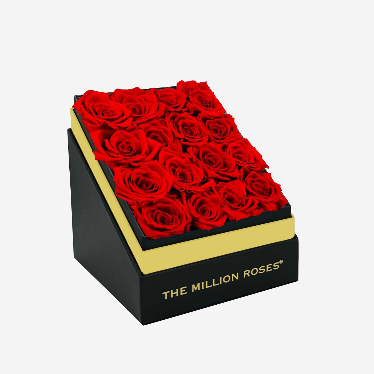 Square Black Box | Red Roses