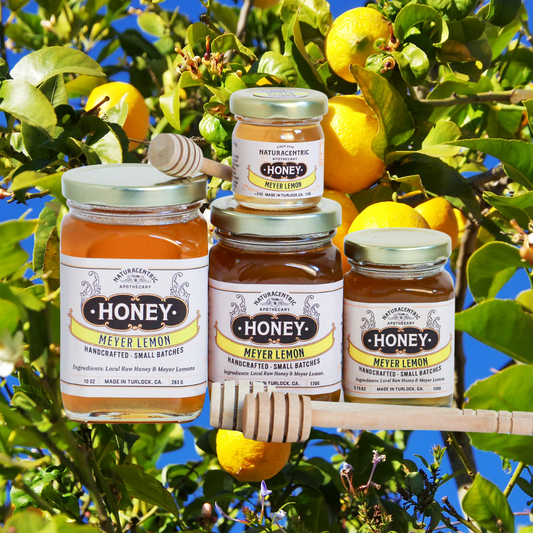 Meyer Lemon Infused Honey - Concordia Style Boutique