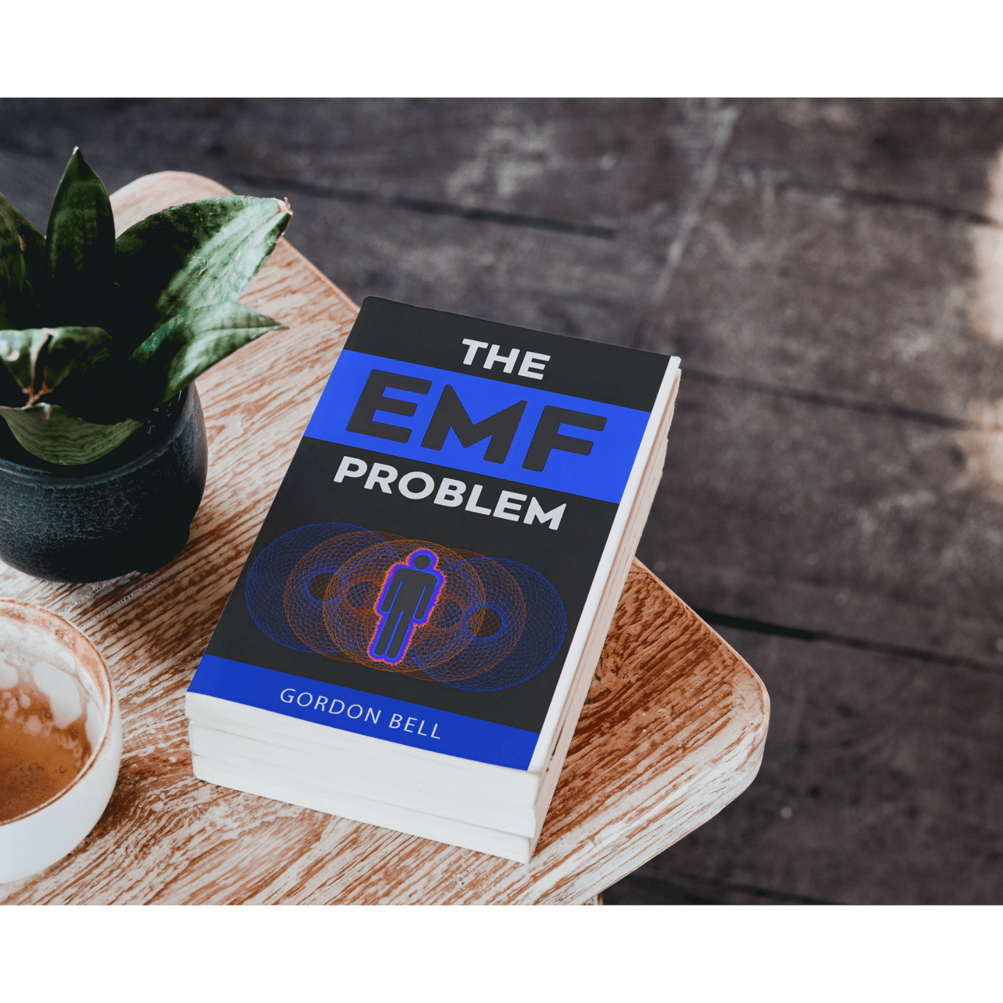 The EMF Problem Book