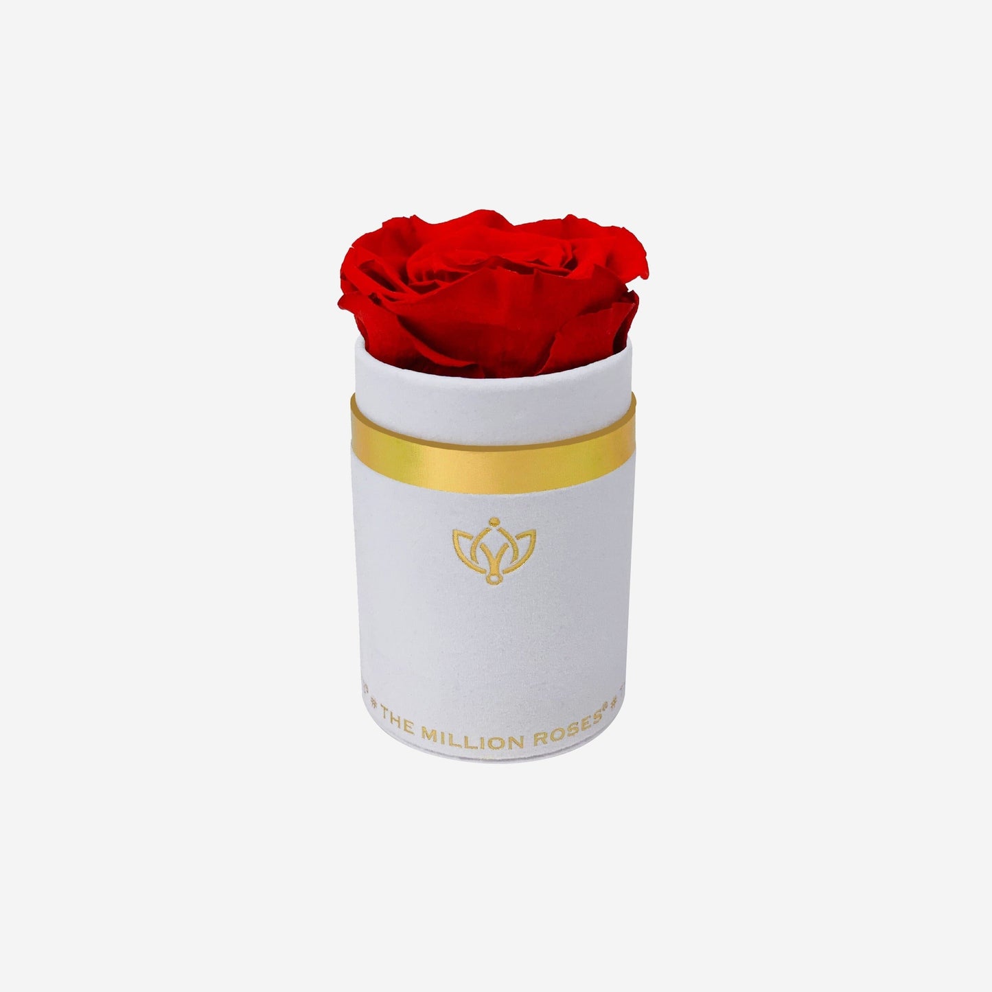 Single White Suede Box | Red Rose