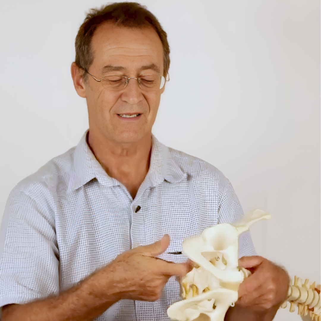 Treating Lower Back Pain - NAT Trigger Point Course (3.5 hrs) - Concordia Style Boutique