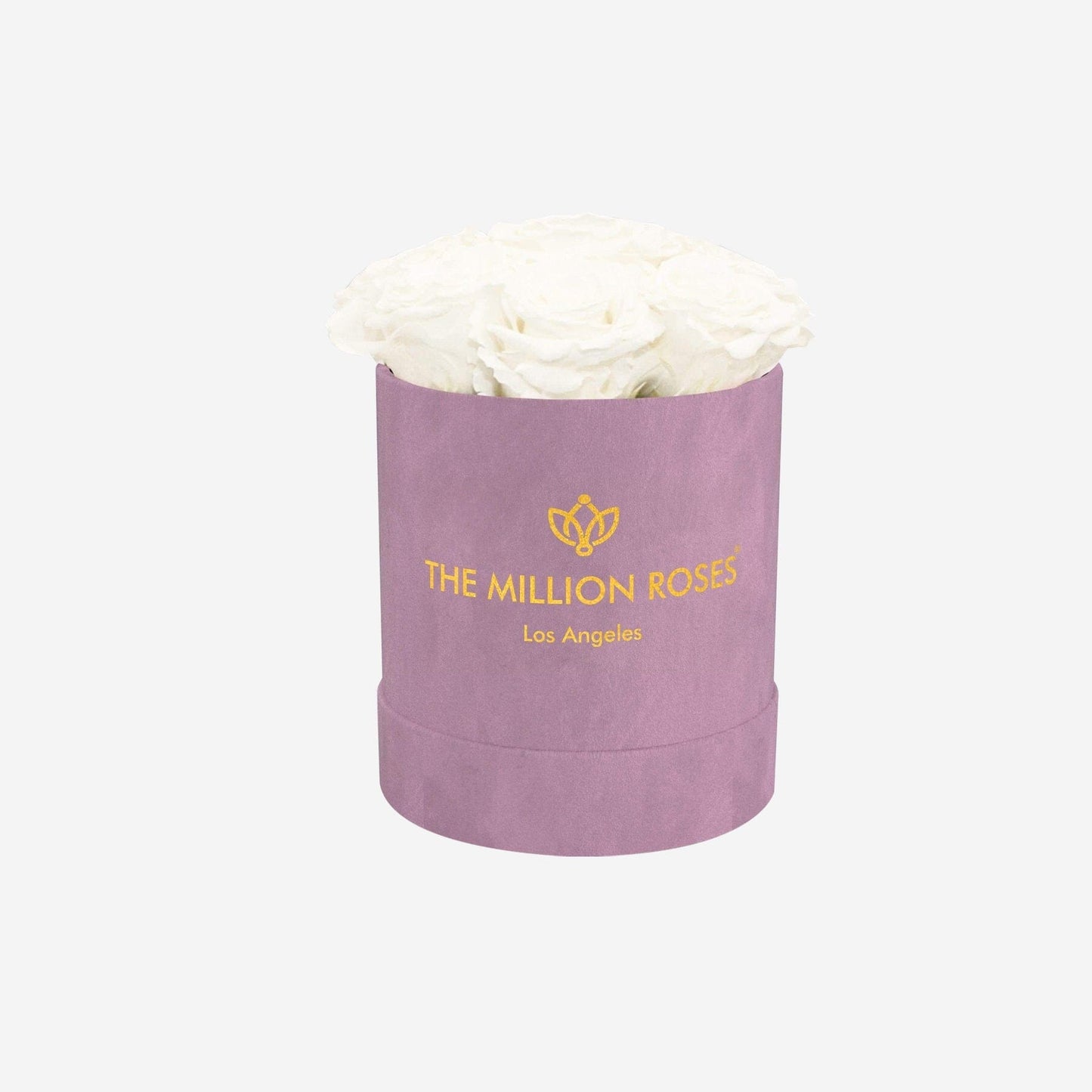 Basic Light Pink Suede Box | White Roses