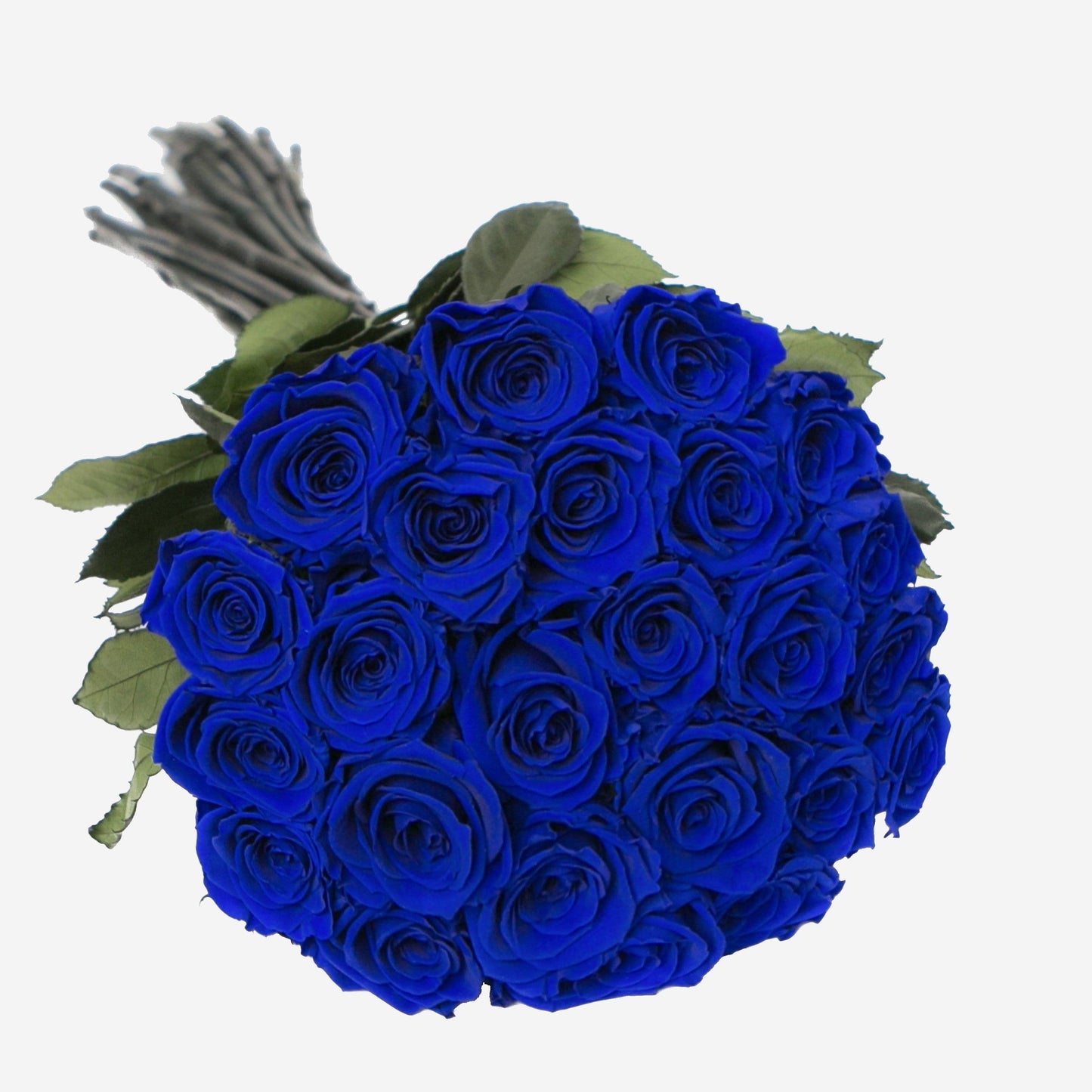 Long Stem Roses | Royal Blue Roses