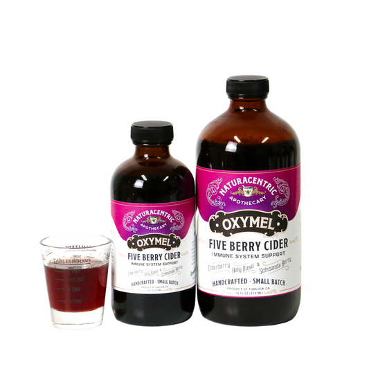 Five Berry Cider Oxymel - Concordia Style Boutique