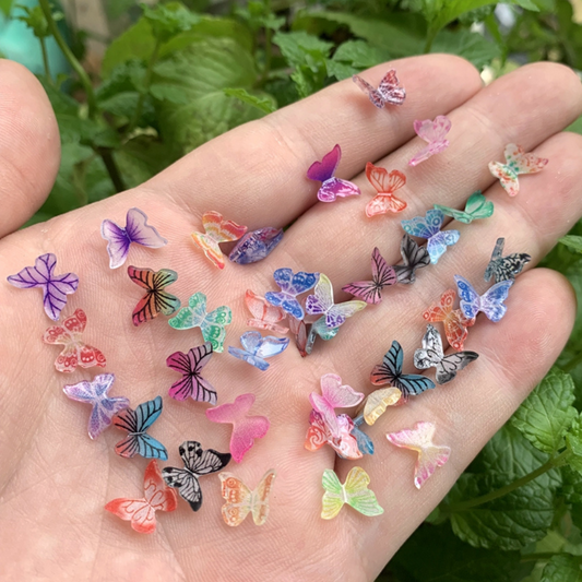 MINI BUTTERFLIES ART CRAFTS - Concordia Style Boutique