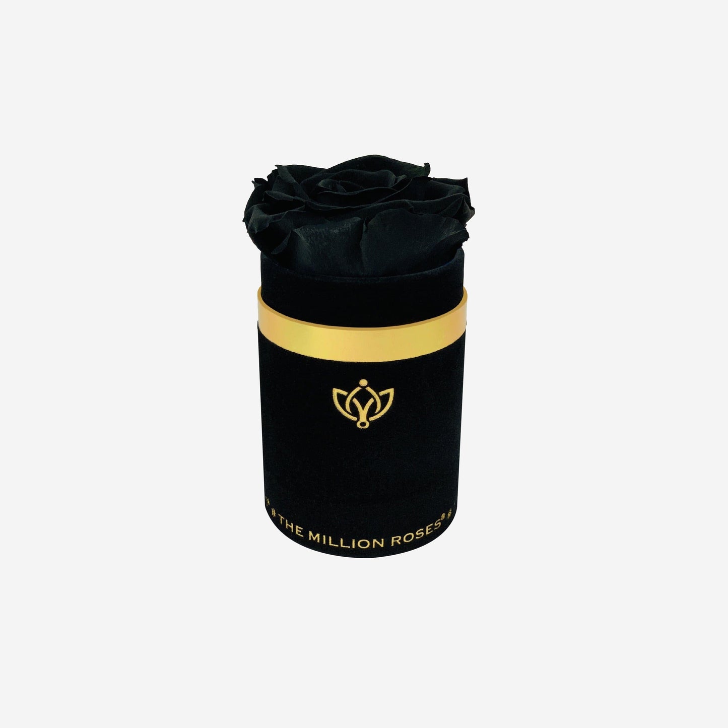 Single Black Suede Box | Black Rose