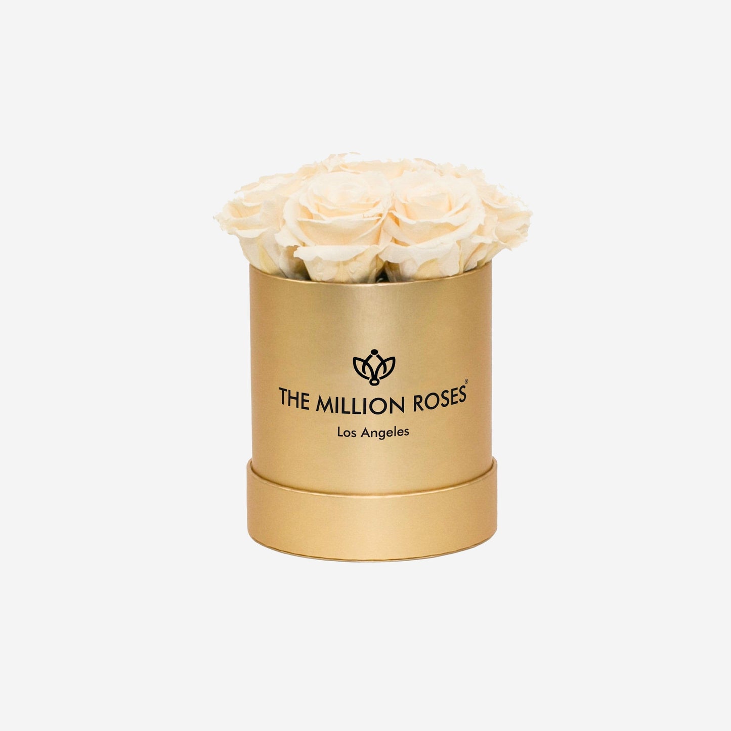 Basic Gold Box | Ivory Roses