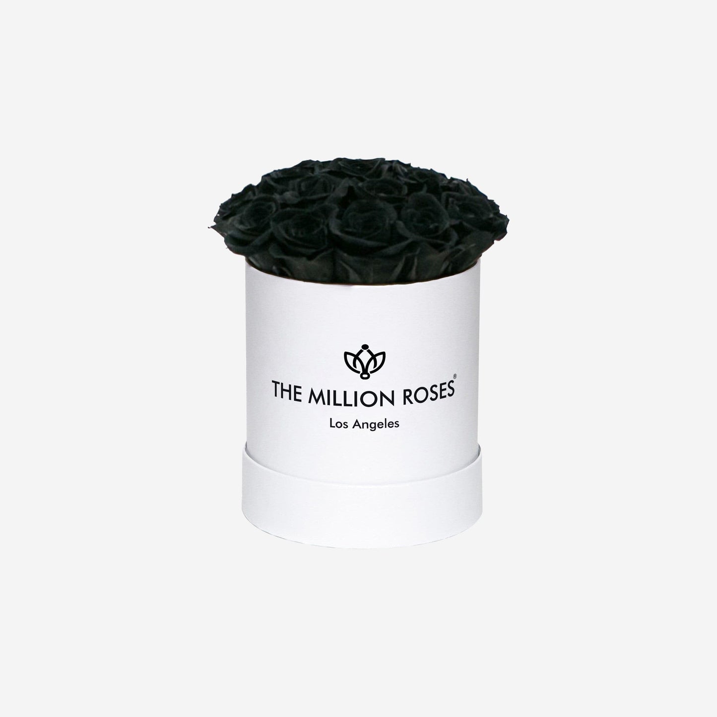 Basic White Box | Black Roses