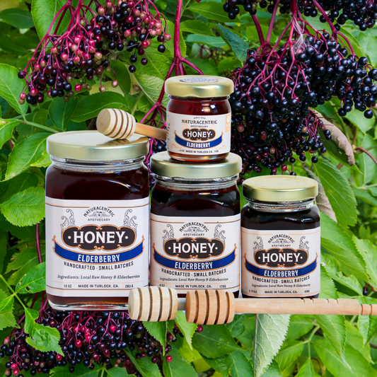 Elderberry Infused Honey - Concordia Style Boutique