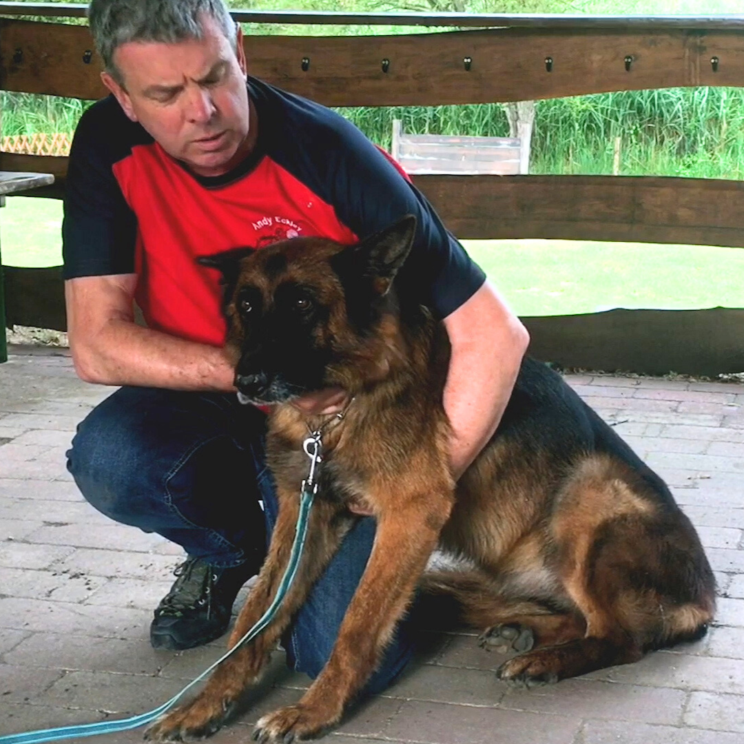 Trigger Point Therapy for Dogs (2.5 hrs) - Concordia Style Boutique