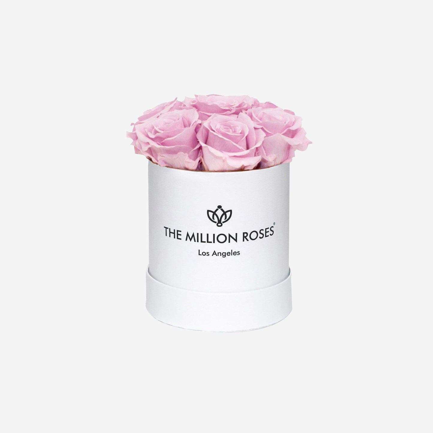 Basic White Box | Light Pink Roses