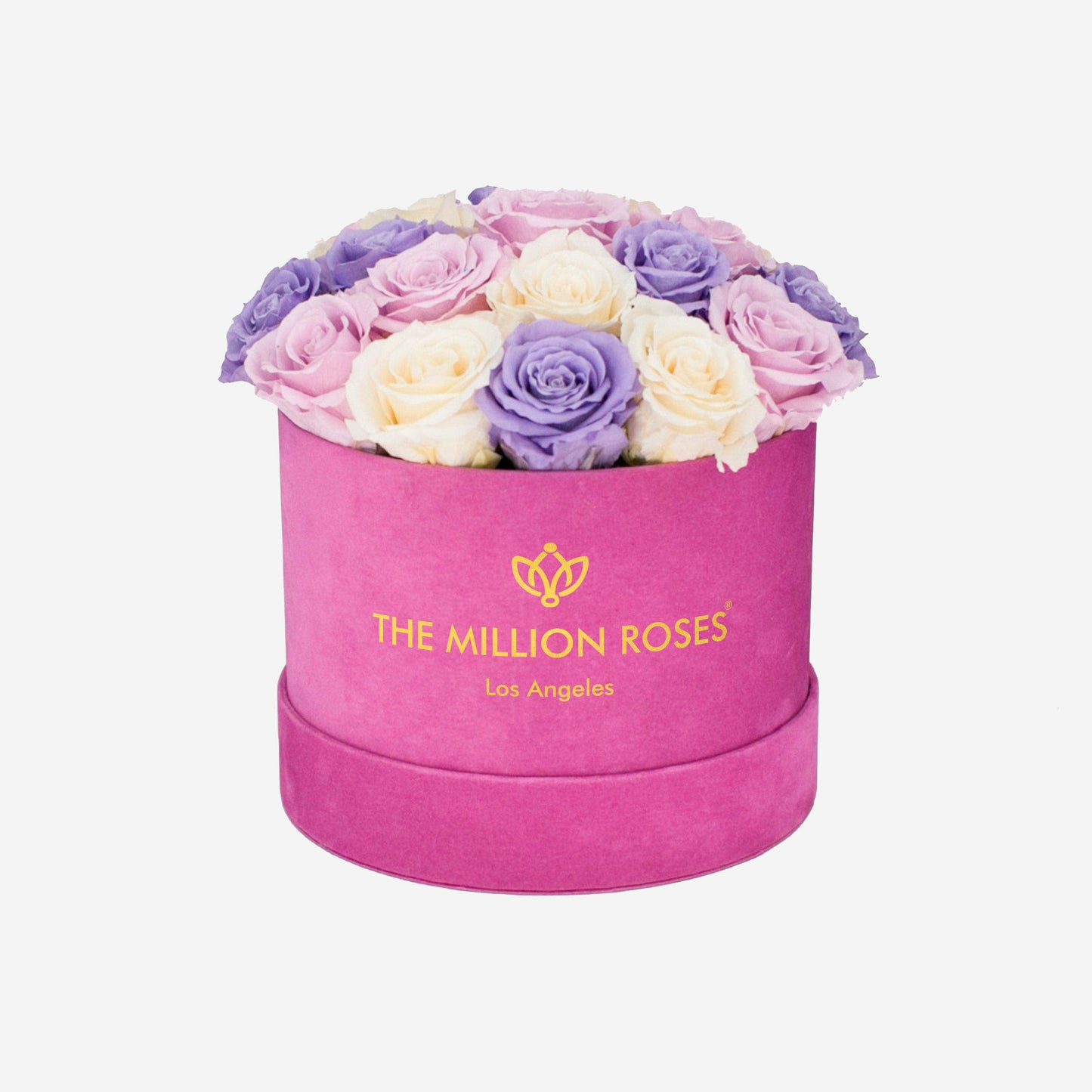 Classic Hot Pink Suede Dome Box | Lavender & Ivory & Pink Roses