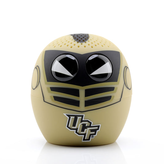 Central Florida Knights - Bitty Boomers