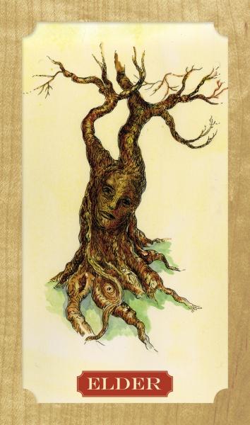 Tree of Life Oracle by Schiffer Publishing - Concordia Style Boutique