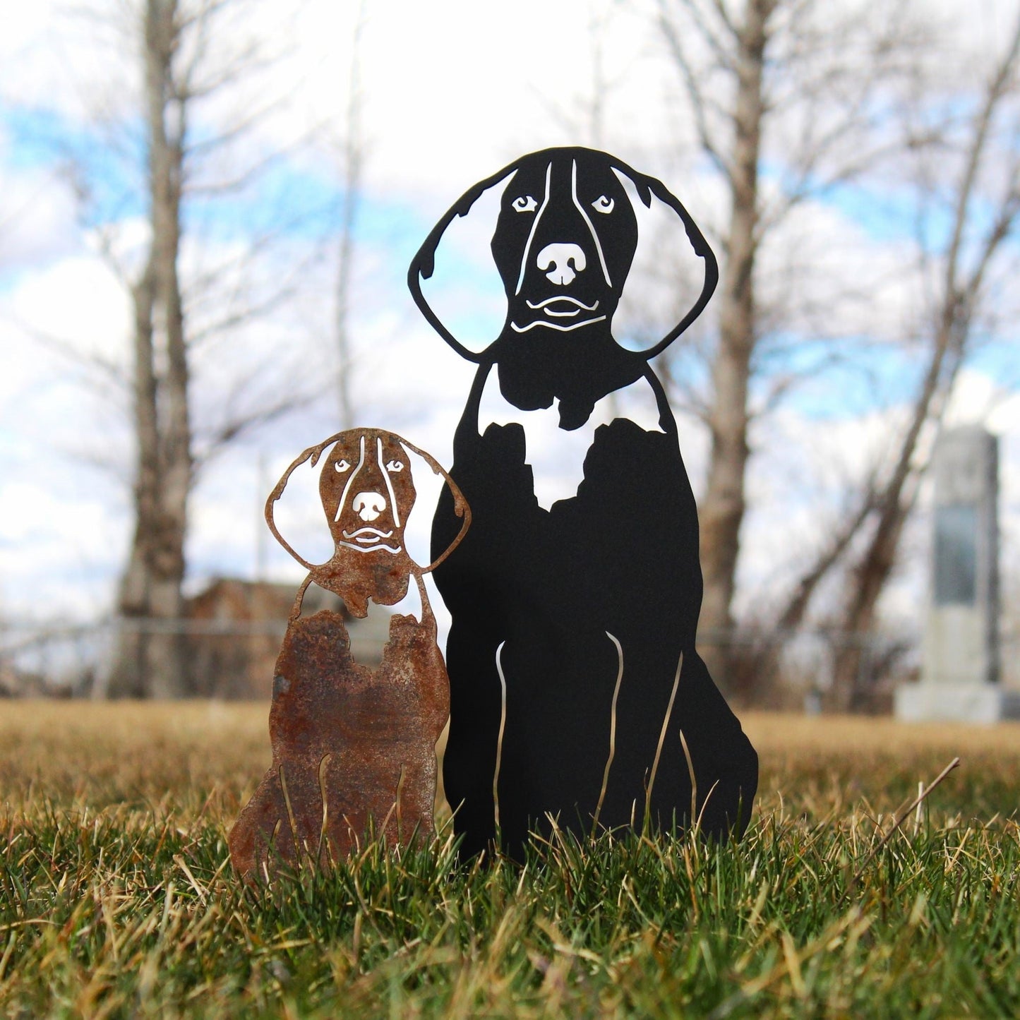 Treeing Walker Coonhound