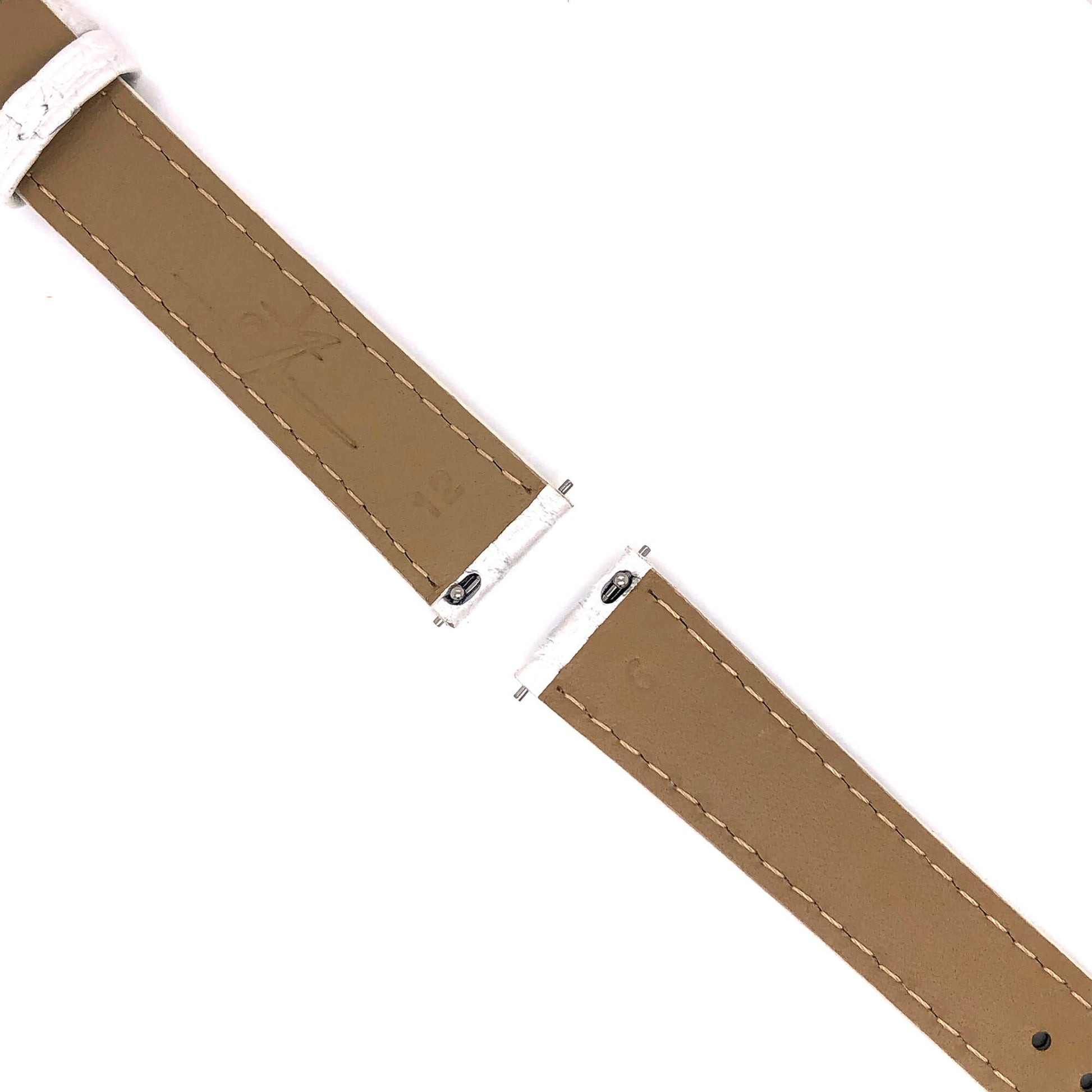 BAND - 16mm Alligator - Concordia Style Boutique