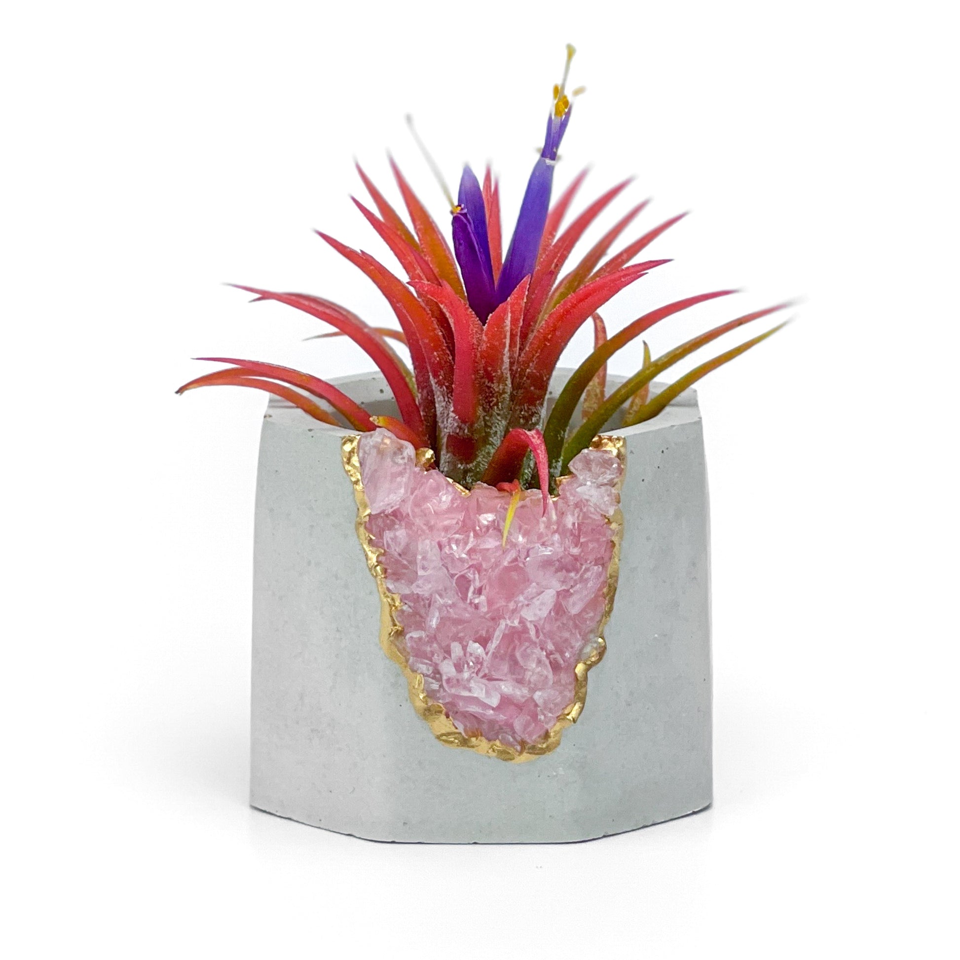 ROSE QUARTZ GEODE PLANTER - Concordia Style Boutique