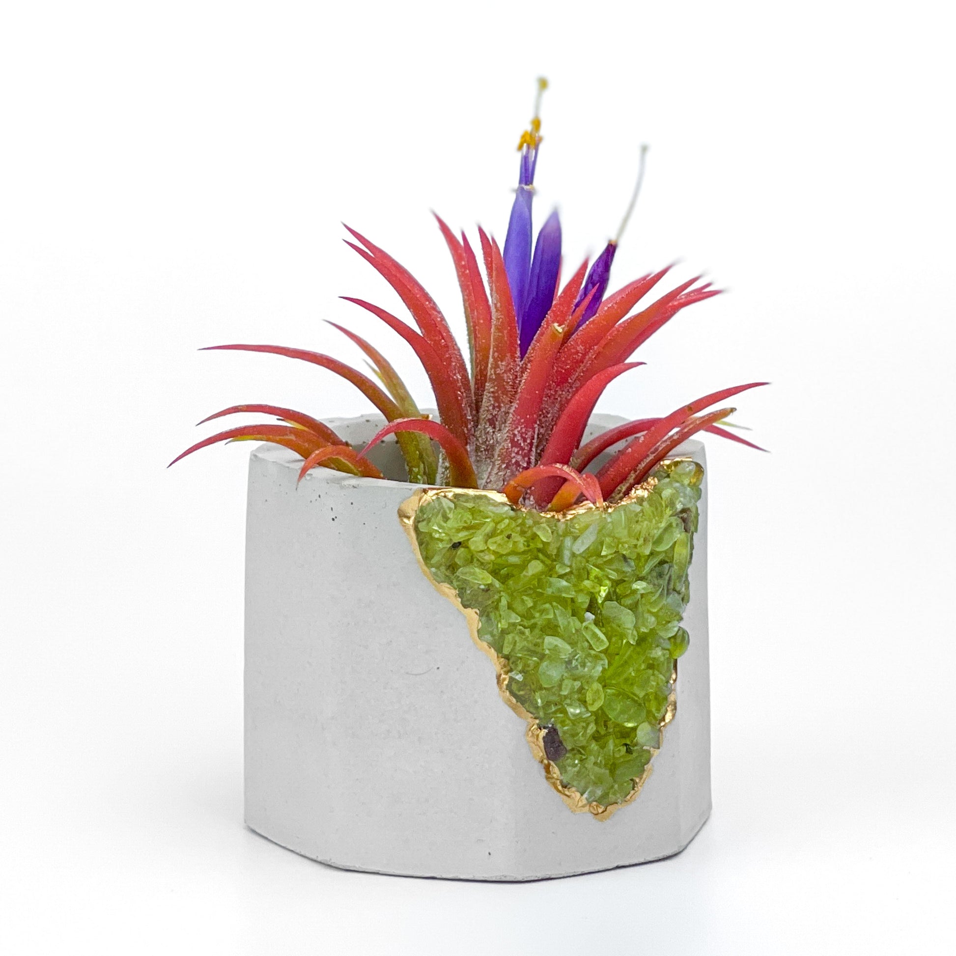 GREEN PERIDOT GEODE PLANTER - Concordia Style Boutique