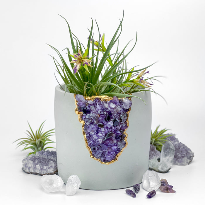 N°5 AMETHYST AURA PLANTER - Concordia Style Boutique