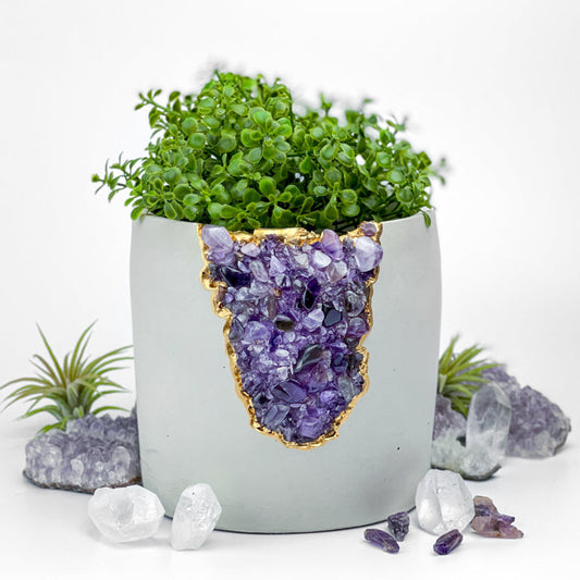 N°5 AMETHYST AURA PLANTER - Concordia Style Boutique