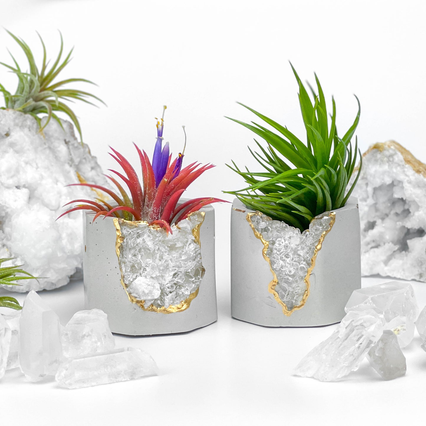 Raw CLEAR QUARTZ GEODE PLANTER - Concordia Style Boutique