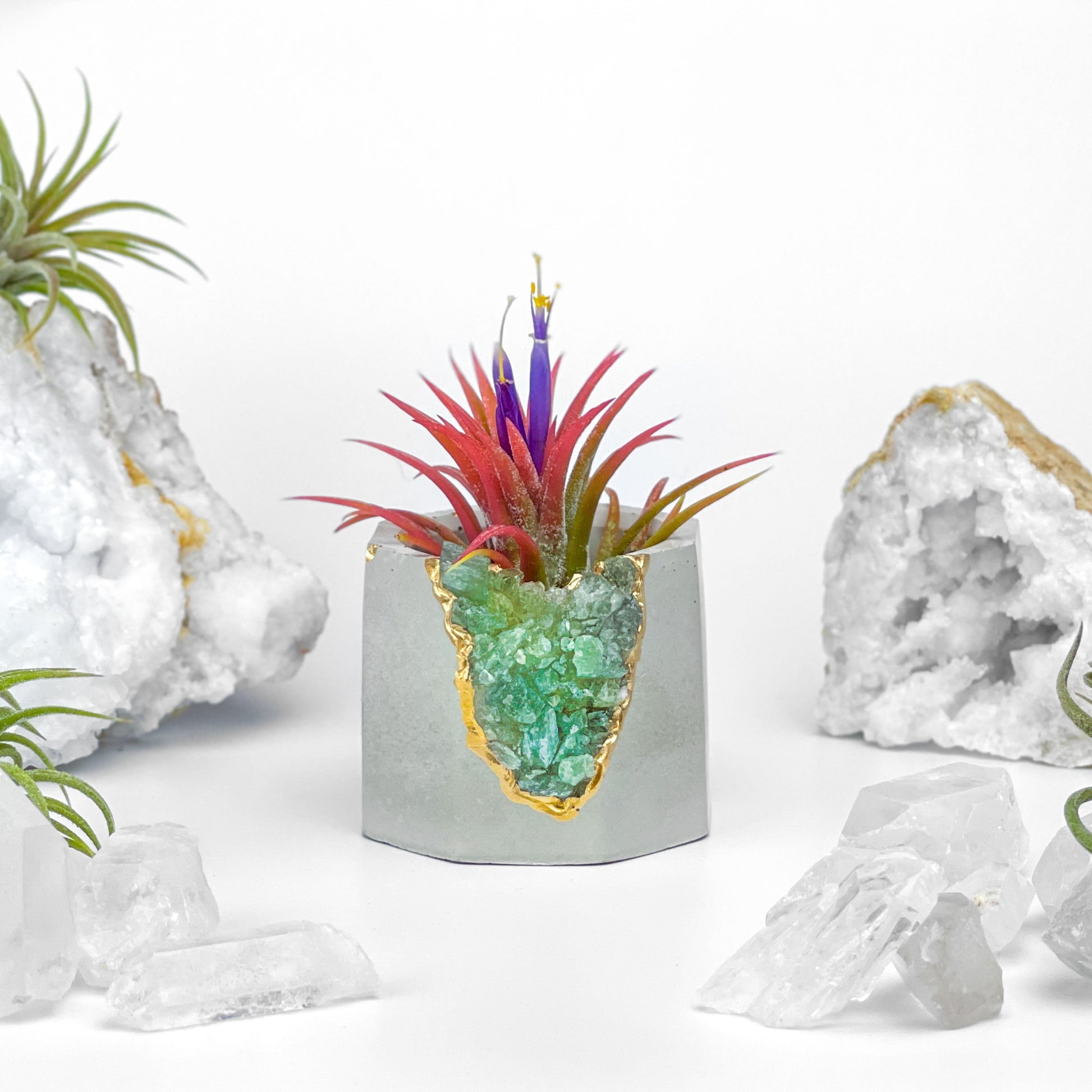 GREEN APATITE GEODE PLANTER - Concordia Style Boutique