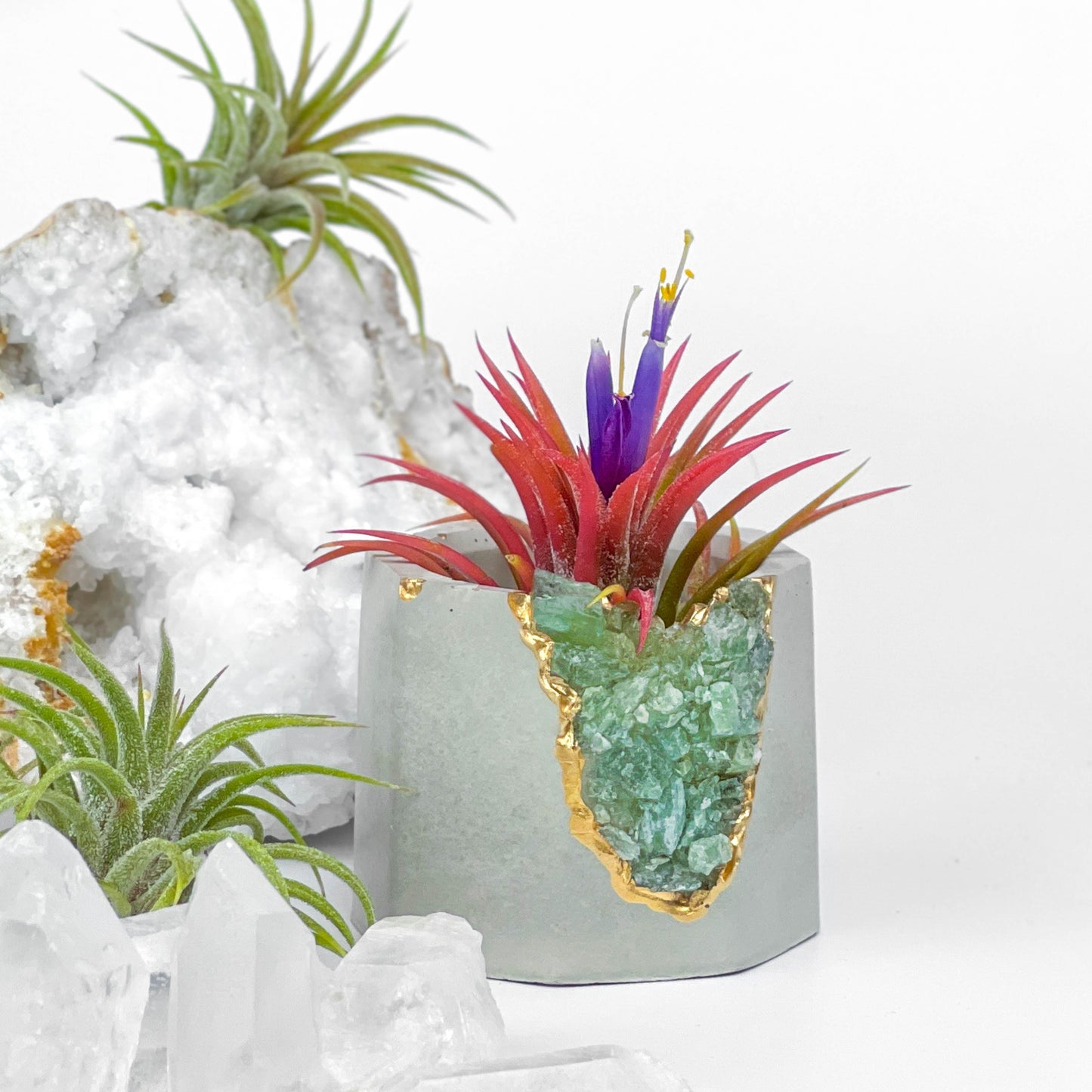 GREEN APATITE GEODE PLANTER - Concordia Style Boutique