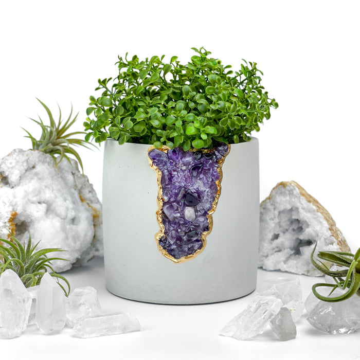 N°4 AMETHYST AURA PLANTER - Concordia Style Boutique