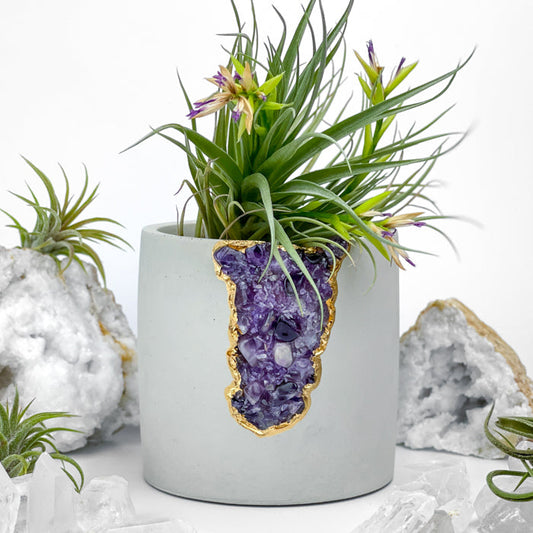 N°4 AMETHYST AURA PLANTER - Concordia Style Boutique
