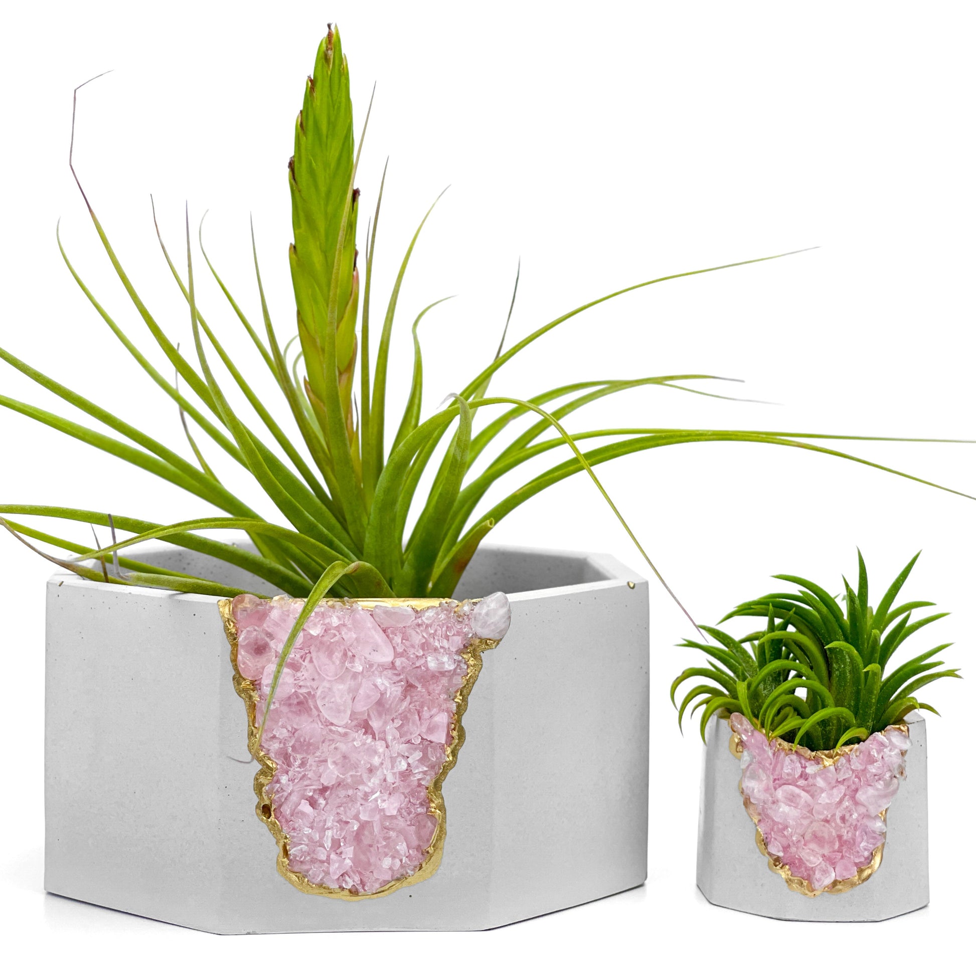 ROSE QUARTZ GEODE PLANTER - Concordia Style Boutique