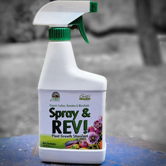 Spray & REV (Pre-Mixed) - Concordia Style Boutique