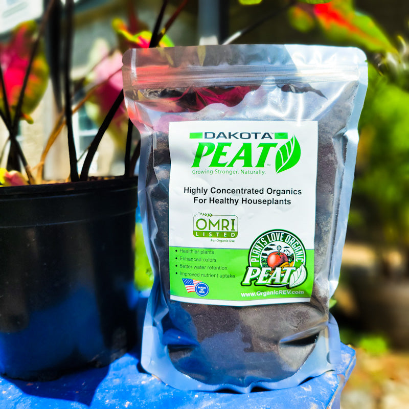 Dakota Reed Sedge Peat 1lb Bag - Concordia Style Boutique