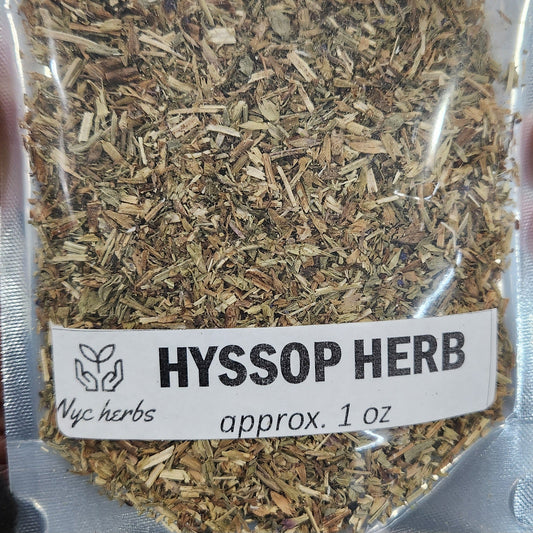 Hyssop | Respiratory Cleanse & Immune Support