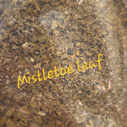 Mistletoe Leaf | Immune & Cardiovascular Support