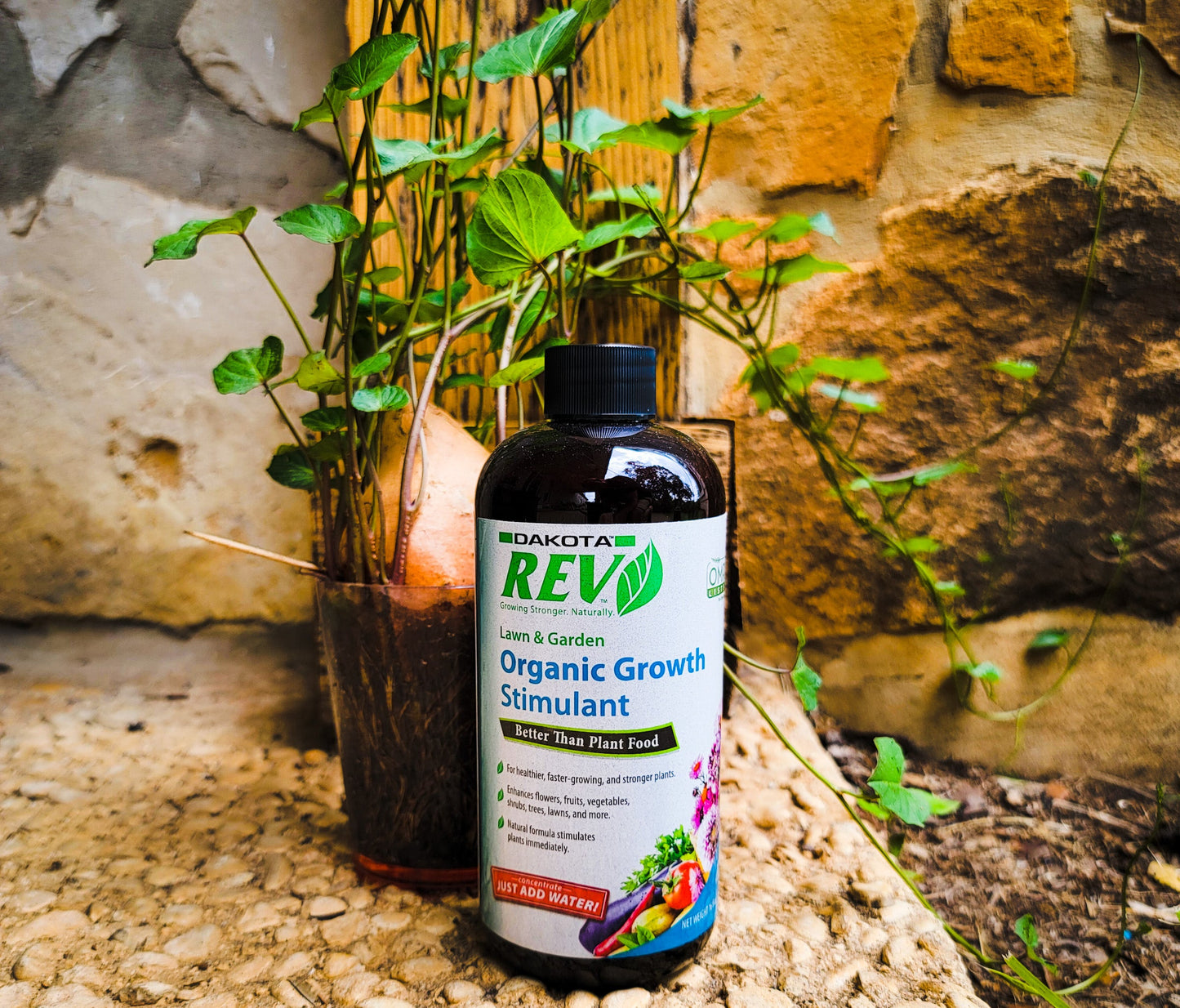 Organic REV Liquid Plant Food 16 oz Bottle - Concordia Style Boutique