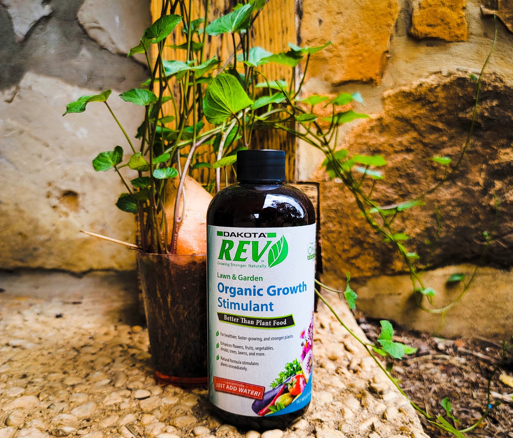 Organic REV Liquid Plant Food 16 oz Bottle - Concordia Style Boutique