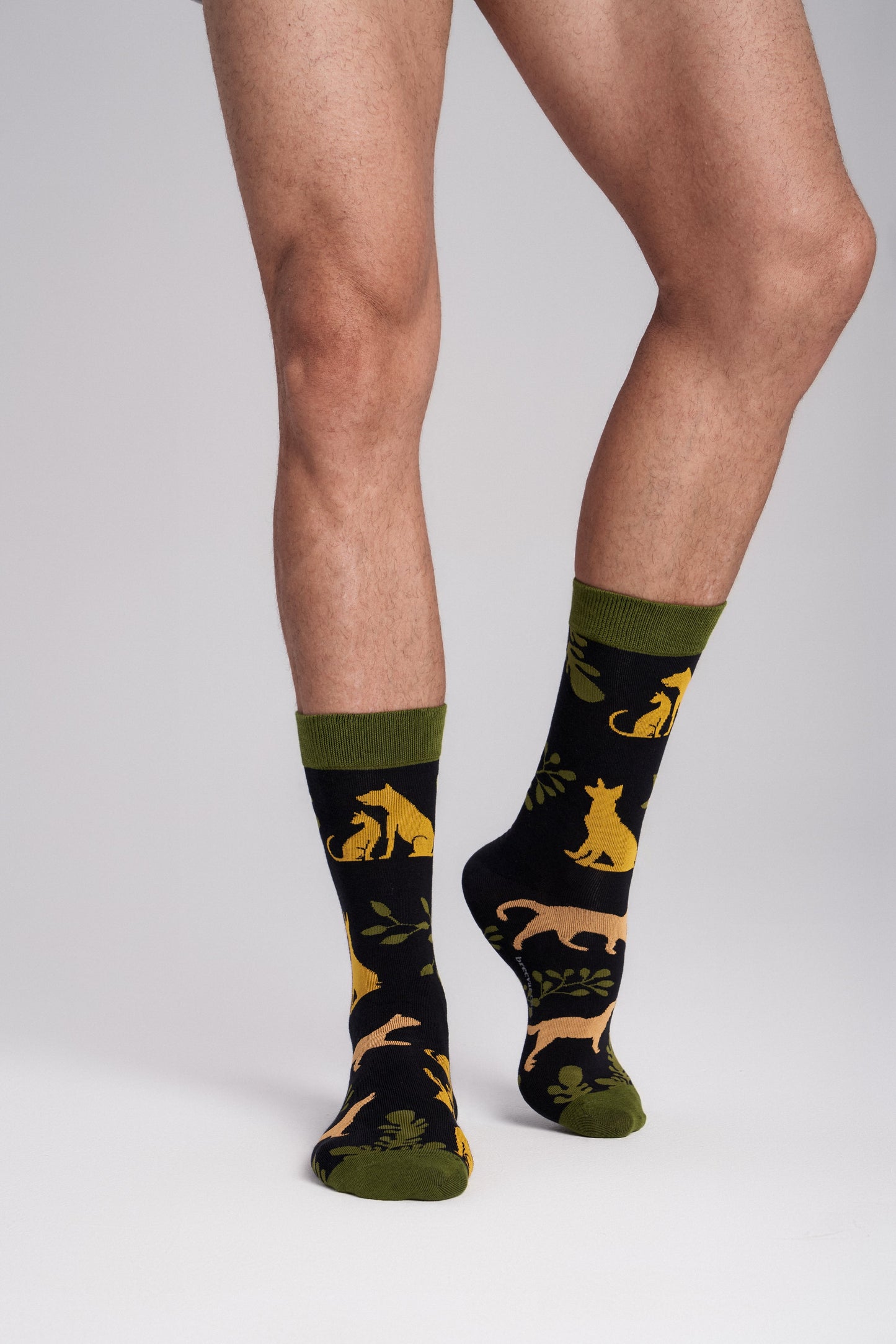 Collectible Art Inspired Crew Socks