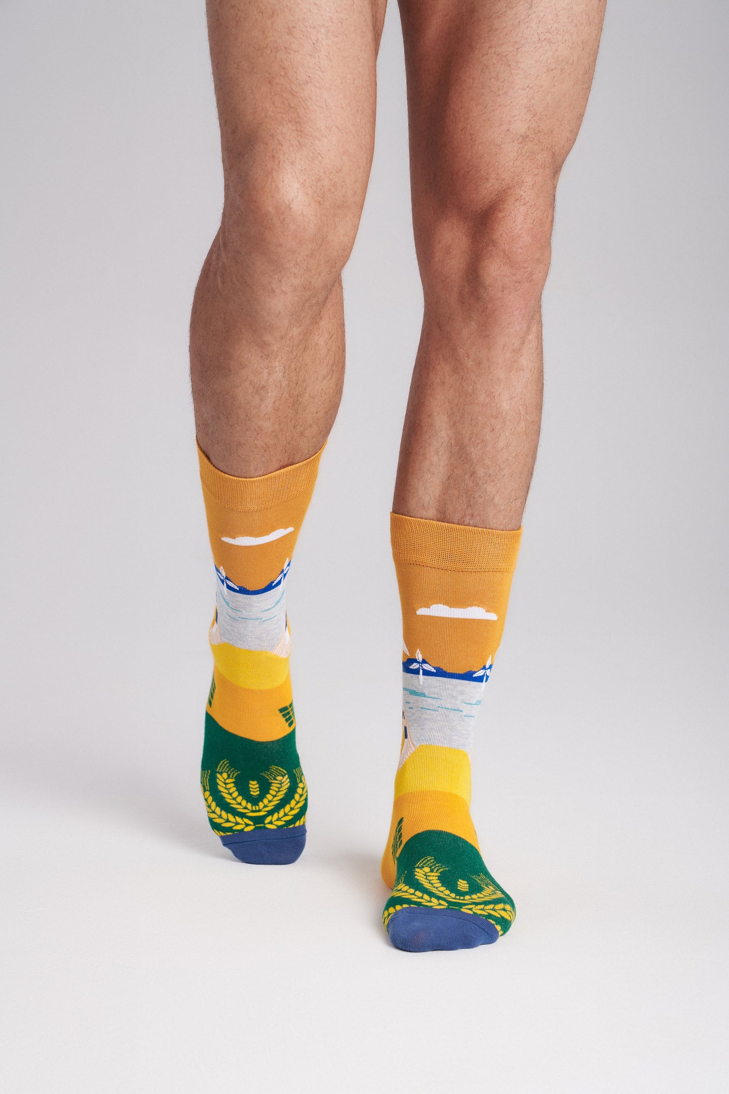 Collectible Art Inspired Crew Socks